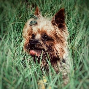 Meet your Posher, Nancy